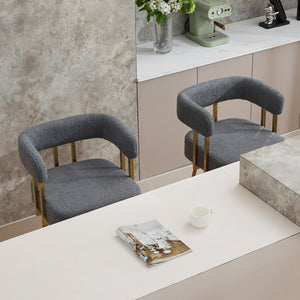 English Elm Ts Teddy Fleece Accent Chair Set of Two with Gold Square Legs for Glam Modern Spaces Gray W2311P412752