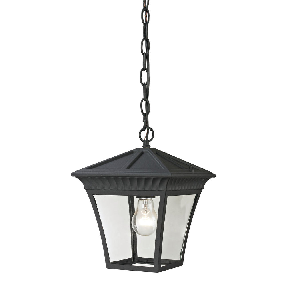 Thomas Lighting Ridgewood Outdoor Pendant Lantern with Clear Glass and Forged Black Metal Crown Detail 8411EH/65