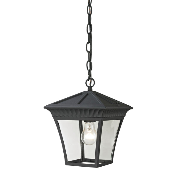Thomas Lighting Ridgewood Outdoor Pendant Lantern with Clear Glass and Forged Black Metal Crown Detail 8411EH/65