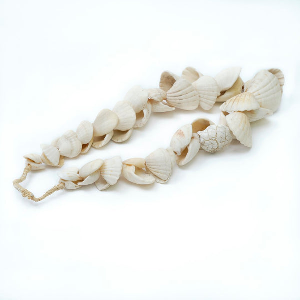 Lilys 17" Long Large White Shell Strand Approx.1-3" Wide 8421