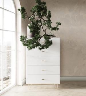 VIG Furniture Bryan Modern White Chest With 5 Soft-Close Drawers, Gloss Finish & Brushed Gold Legs — 30X19x46" VGMABR-82-WHT-CHS
