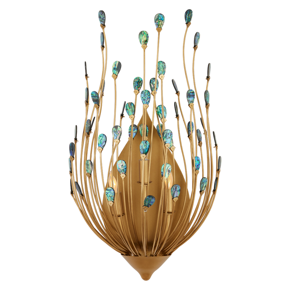 Delphos Teardrop Wall Sconce - Nature-Inspired Gold Fixture with Iridescent New Zealand Paua Shells