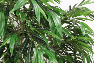 English Elm 7ft Artificial Banyan Silk Leaf Tree Freestanding Potted Faux Greenery for Home Office W2945P359419