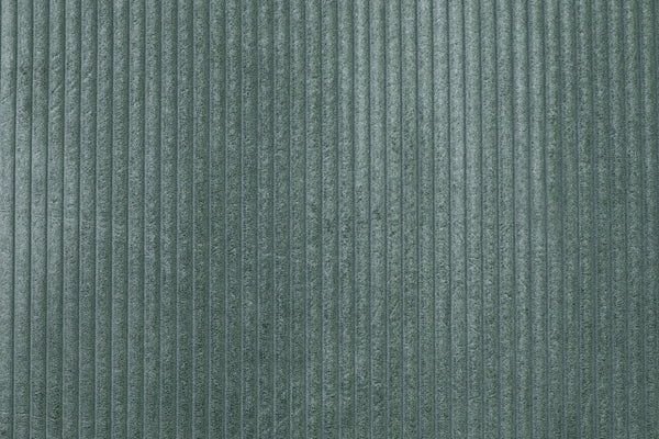 English Elm Sage Corduroy Accent Chair with Pillow — Modern Low-Profile Lounge Seat, Slanted Wood Legs, Cozy Comfort B011P369878