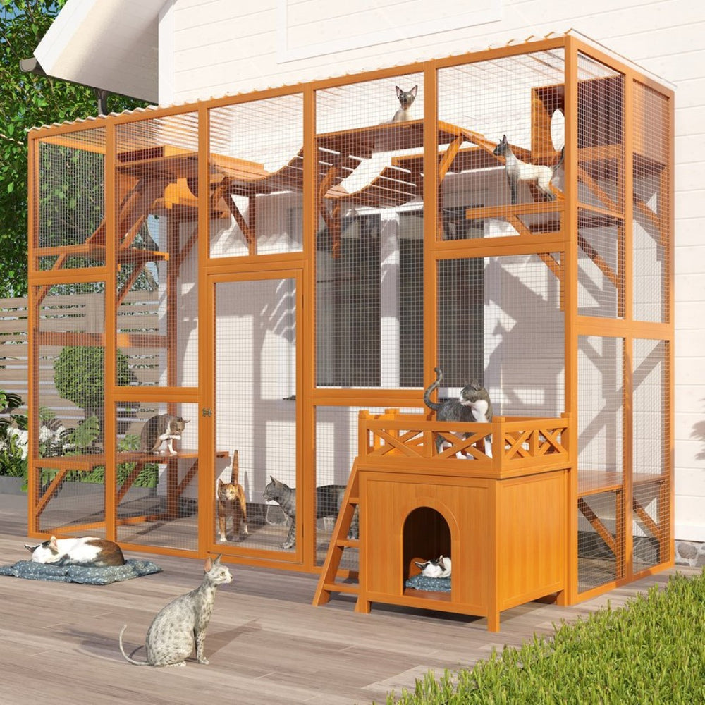English Elm Weatherproof Pine Wood Catio Outdoor Cat Enclosure with Platforms Ramps and Pvc Roof N843MP003N