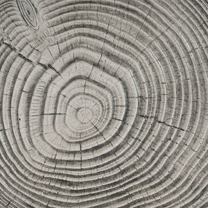 English Elm Mgo Tree Stump Side Table Lightweight Concrete Gray Wood Grain Finish Outdoor Indoor N776P372339G