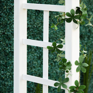 English Elm Outsunny Carbonized Fir Wood Garden Arbor Arch with Lattice Roof for Climbing Vines W2225P174423