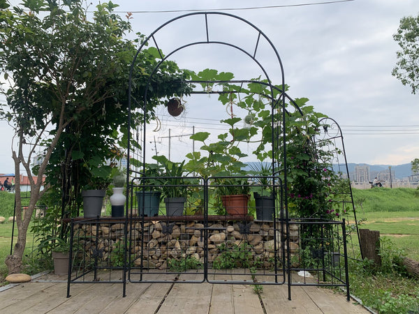 English Elm Garden Arch Arbor Trellis With Gate - Durable Metal Design For Climbing Plants, Weddings & Patios W840P321539