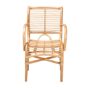 English Elm Modern Woven Rattan Accent Chair Openwork Lattice Frame for Sunroom or Bedroom B2750P420383
