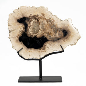 Lilys 10-12" Petrified Log Fossil With Stand(Size Vary).... 8543