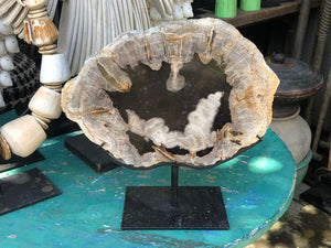Lilys 10-12" Petrified Log Fossil With Stand(Size Vary).... 8543