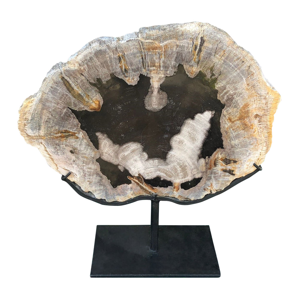 Lilys 10-12" Petrified Log Fossil With Stand(Size Vary).... 8543