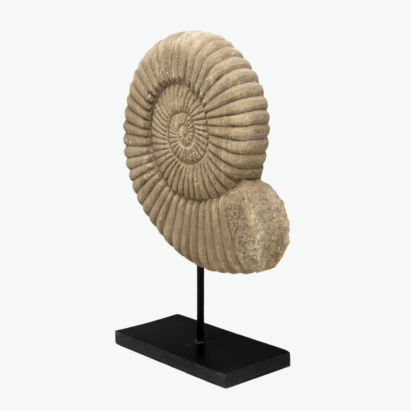 Lilys 14" Stone Nautilus Statue ...... 8544-S