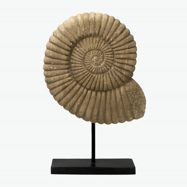 Lilys 18" Stone Nautilus Statue ...... 8544-L