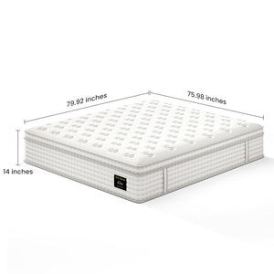 English Elm 12'' King Hybrid Mattress Pocket Coils Memory Foam Ergonomic Fiberglass Free Support B2716P383546