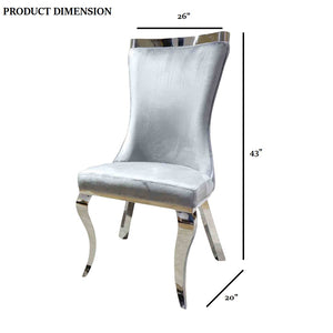 English Elm Glam 2-Piece Side Chair Set With Tiger Print Upholstered Seat And Silver Legs For Stylish Spaces B2741S00729