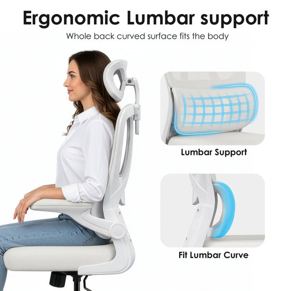 English Elm Ergonomic Mesh High Back Desk Chair with Lumbar Support Flip up Arms and Headrest Beige,White T3623P434269