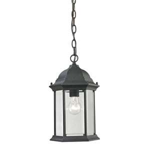 Thomas Lighting Spring Lake Outdoor Lantern Pendant Matte Black Beveled Glass Porch Entryway Light 8601EH/65