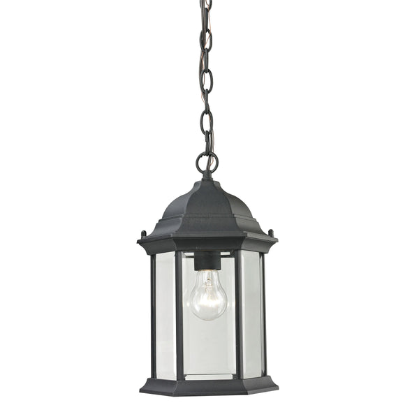 Thomas Lighting Spring Lake Outdoor Lantern Pendant Matte Black Beveled Glass Porch Entryway Light 8601EH/65