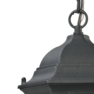 Thomas Lighting Spring Lake Outdoor Lantern Pendant Matte Black Beveled Glass Porch Entryway Light 8601EH/65