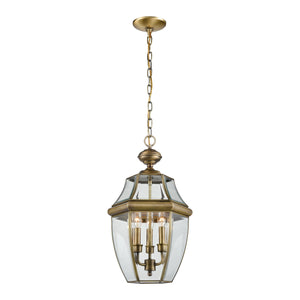 Thomas Lighting Ashford 3 Light Outdoor Pendant Lantern with Beveled Glass Cage Antique Porch Entry Brass 8603EH/89