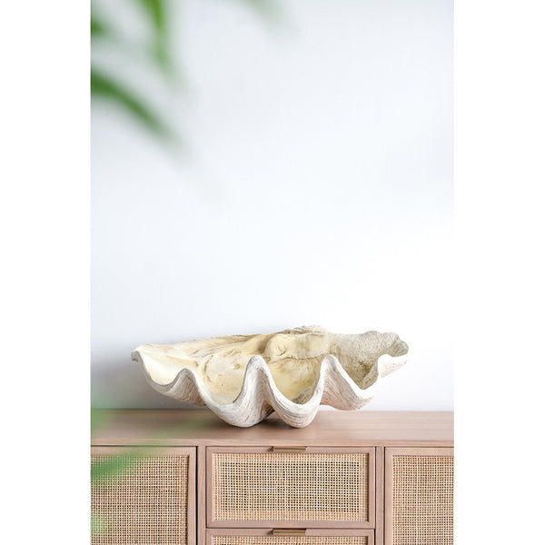 English Elm 25.3x16.5x8.5" Oversized Clam Shell Sculpture Glossy Coastal Decor Display Piece W2078P491173