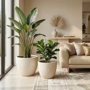 English Elm Round Handcrafted Concrete Planter Set Textured Matte Finish Patio Entryway Garden W347P449342