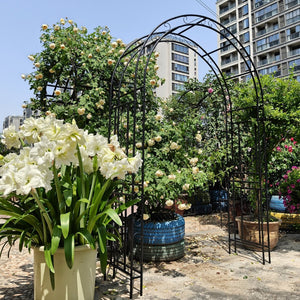 English Elm Metal Garden Arch Powder Coated Steel Frame for Climbing Roses and Pathway Decor W1586P268781