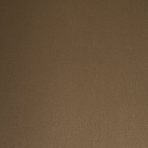 English Elm Bblythe Velvet Accent Chair Wrap Around Backrest Solid Wood Frame Cozy Reading Nook Brown N776P418607B