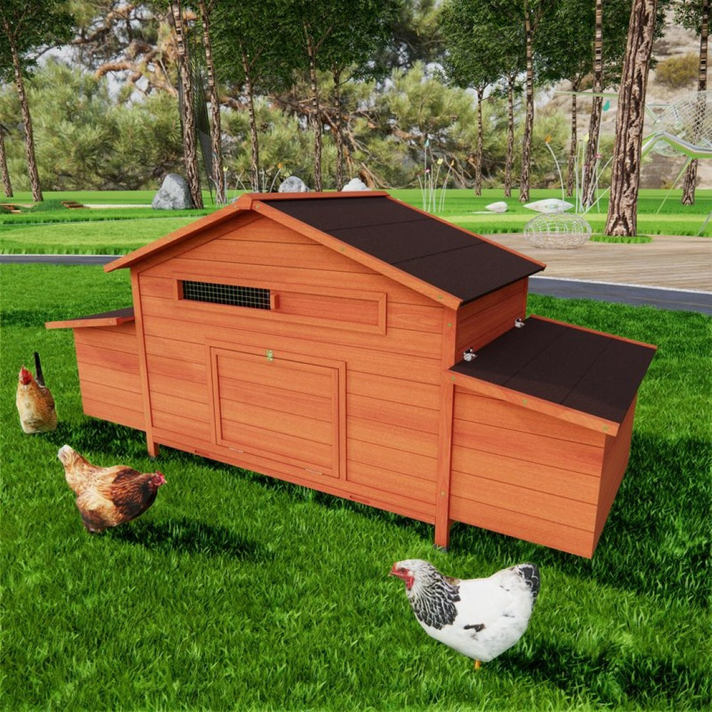 English Elm Large Wooden Backyard Chicken Coop with Dual Nesting Boxes and Leakproof Pullout Tray W3166P331246