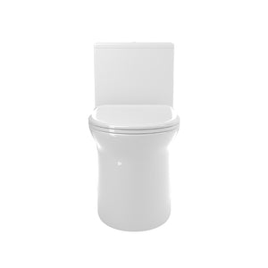 English Elm 1.1/1.6 Gpf Ceramic One Piece Toilet Skirted Comfort Height Dual Flush Soft Close B2724P246931