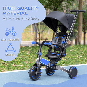 English Elm Qaba Convertible Toddler Trike Balance Bike with Canopy Adjustable Push Handle W2225P229173