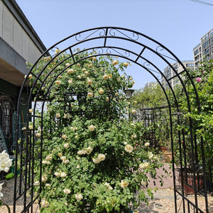 English Elm Metal Garden Arch Powder Coated Steel Frame for Climbing Roses and Pathway Decor W1586P268781