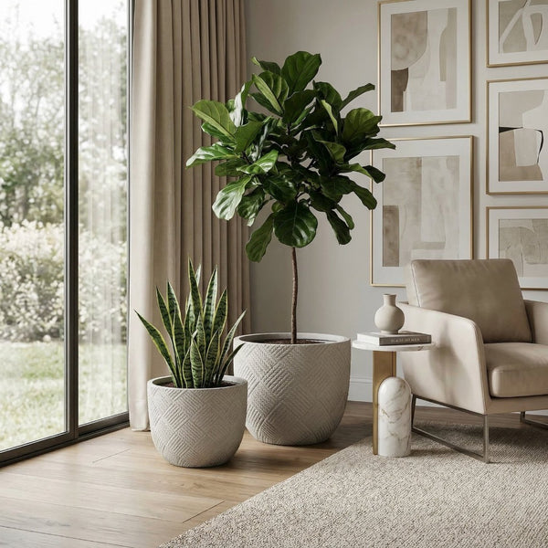 English Elm Round Handcrafted Concrete Planter Set Textured Matte Finish Patio Entryway Garden W347P449331
