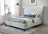 Moti Alexandria Queen Bed 88011014