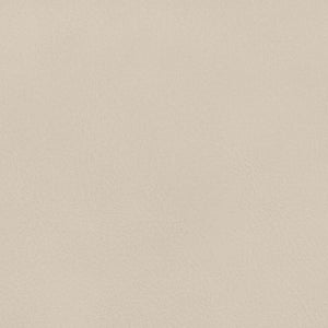 Meridian Furniture Ellis Vegan Leather Seat Cane Back Dining Chair with Solid Wood Frame for Modern Interiors Beige Style 2 88050Beige-C