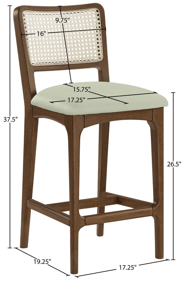 Meridian Furniture Atrium Art Deco Cane Back Counter Stool with Vegan Leather Seat and Wood Frame Mint Set of 2 88073Mint-C
