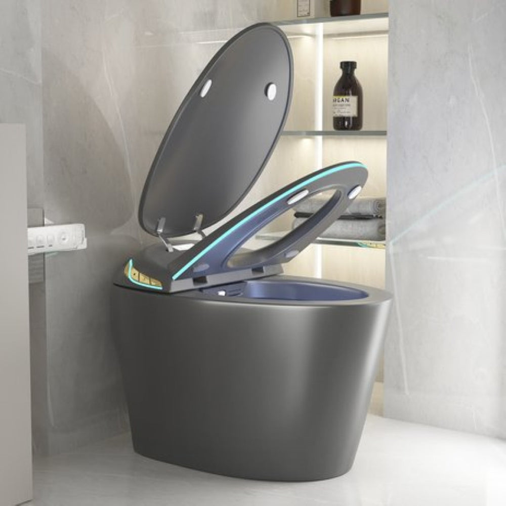 English Elm Unique Smart One Piece Toilet with Bidet Foot Sensor Auto Lid Warm Dryer Night Light W3133P384914