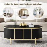 English Elm Modern Luxury Oval Shaped Fluted Coffee Table, Marble-Patterned Top Coffee Table With 2 Cabinets, Metal Legs and Handles For Living Room, Black (Date Of Expected Arrival: 11.20)