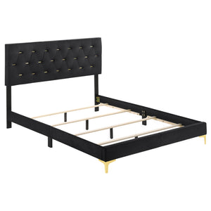 English Elm Lexie Black/Gold 5-Piece Tufted Queen Bedroom Set - Luxurious Velvet Upholstery & Ample Storage B062S01194