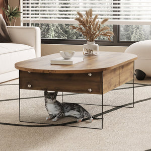 English Elm Cozy Natural Oval Coffee Table with Dual Drawers, Tempered Glass Legs, Wood Grain MDF Top, 43.3"x23.6" W1512P405601