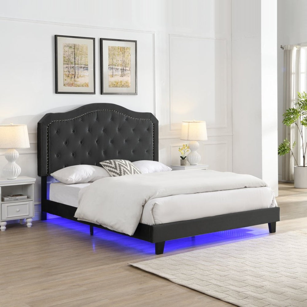 English Elm Upholstered Queen Bed Black Velvet Tufted Headboard with Led Ambient Lighting W311P237227