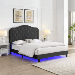 English Elm Upholstered Queen Bed Black Velvet Tufted Headboard with Led Ambient Lighting W311P237227