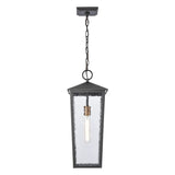 Marquis 9'' Wide 1-Light Outdoor Pendant - Matte Black 89474/1 Elk Lighting