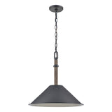 Neville 18'' Wide 1-Light Pendant - Charcoal Black 89705/1 Elk Lighting