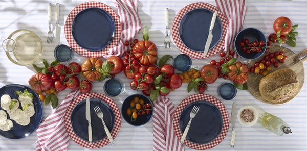 Lenox Gingham Porcelain Dinner Plates Set of 4 Checkered Rim Dishwasher Safe for Casual Dining Red 897165