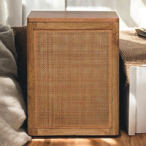 English Elm Larissa Solid Mango Wood Storage Box with Woven Rattan Panel, Rustic Compact Organizer, 18.5"H B182P284357