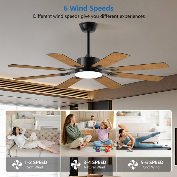 English Elm 52 52 Inch Ceiling Fan with Lights Remote, 8 Plywood Blades, Quiet 6-Speed DC Motor, Reversible LED W1340P346387