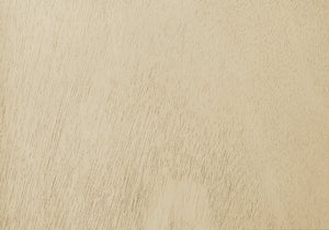 English Elm Bench, 41" Rectangular Upholstered Seat with Solid Wood Legs, Transitional Entryway & Dining Accent White 43 L x 17 W x 7 H B2710P287007