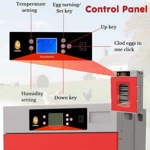 English Elm 400-egg Cabinet Incubator Auto-turning Digital Climate Control for Poultry Hatching W2700P326299